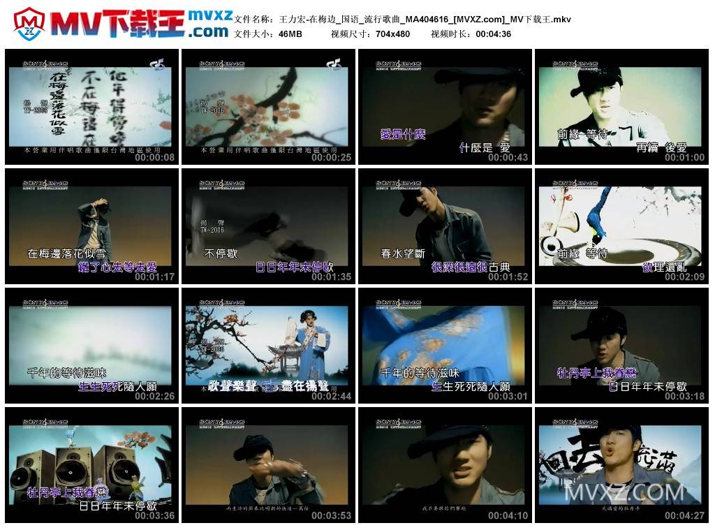 王力宏-在梅边_国语_流行歌曲_MA404616